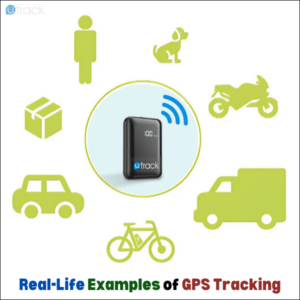 Real-Life Examples of GPS Tracking in Action